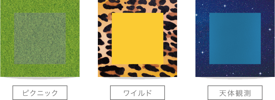 ピクニック ワイルド 天体観測